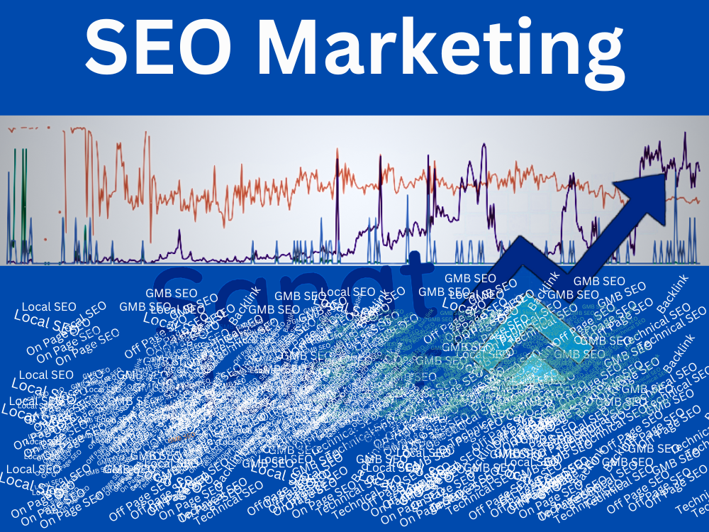SEO EXpert in kolkata provide best seo services for small business